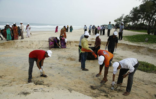 panambur beach cleaning